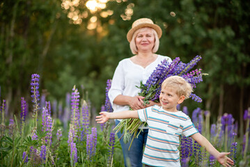 Grandmother and grandson in the field with lupine flowers.