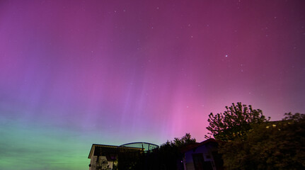 polar100524148 .jpg