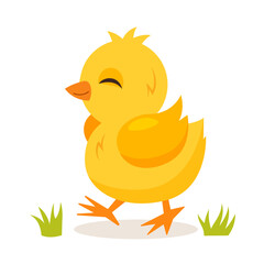 Vector illustration of walking cute chick character isolated on white background.
