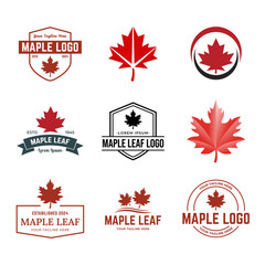 Set of Maple leaf logo template vector icon illustration, Maple leaf vector illustration.