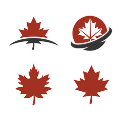 Set of Maple leaf logo template vector icon illustration, Maple leaf vector illustration.