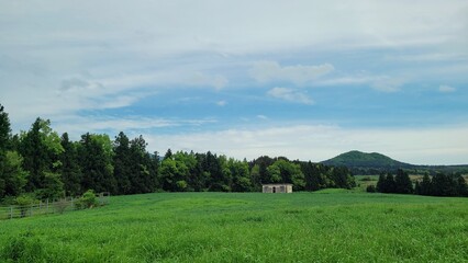 meadow, nature, outdoors, pasture, trees