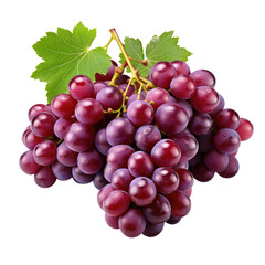 Fototapeta premium A photo of a bunch of purple grapes with green leaves. transparent background 