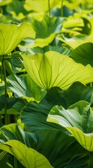 Summer Vibes: Lotus Leaf in Bright Weather Generative AI