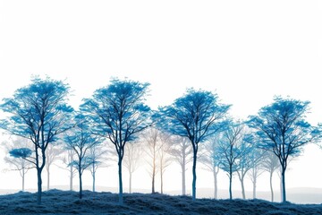 Fototapeta premium A beautiful winter landscape of a forest of blue trees against a white background. The trees are bare, and the branches are covered in snow.
