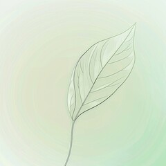 Elegant leaf line art on soft green background