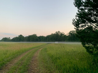 sunrise over the field