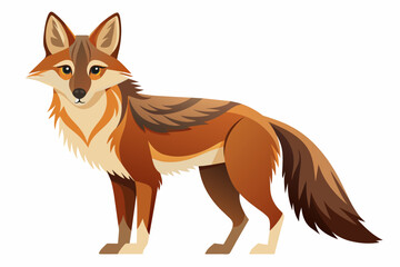 coyote cartoon vector illustration