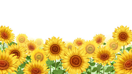 向日葵　ひまわり畑　水彩画　素材　枠　飾り枠　見出し　行楽　レジャー　暑中お見舞い　挿絵　白背景　白バック　透過　16:9