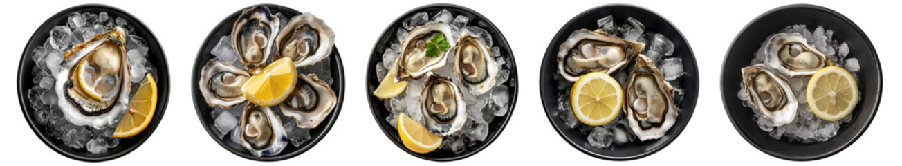 Fresh oyster with a lemon slice in a black bowl with chilled ice cubes, isolated transparent PNG, top view, seafood