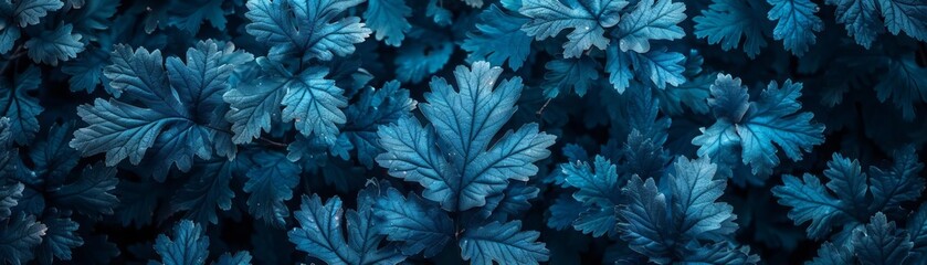 A close-up photograph of dark blue foliage with intricate details and patterns.