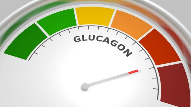Glucagon peptide hormone level on measure scale. Instrument scale with arrow. Colorful infographic gauge element. Glucagon is produced in the pancreas and has the opposite effect of insulin.