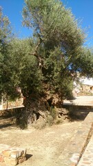 Discovery of the landscapes of Crete, an island in Greece, in summer