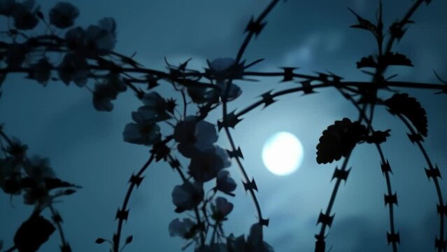 A bouquet of blooms illuminated by the moon silhouetted against a backdrop of jagged barbed wire a ghostly image of natures perseverance. 2d flat cartoon.