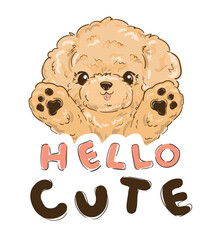 Hand Drawn cute poodle puppy, vector illustration, kids print design on t-shirt.