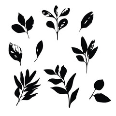 Hand Drawn monochrome leaves on a white background, ink vector illustration