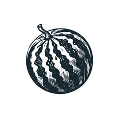 The watermelon. Black white vector illustration logo.