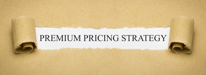 Premium Pricing Strategy