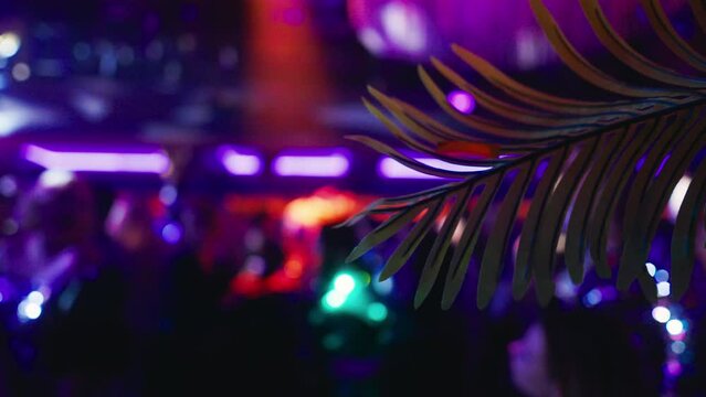 Blurred Bash: Experience the Excitement of Nightlife with Neon Lights Casting a Defocused Spell on the Dance Floor