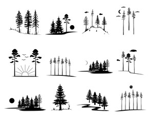 Set of vector hand drawn nature and forest illustrations, line art drawing
