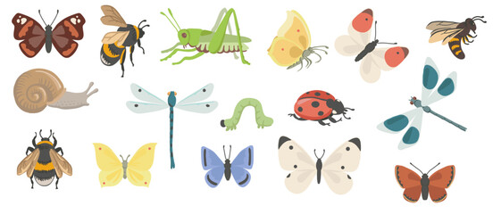 vector drawing set of insects, butterflies, dragonflies, bee, caterpillar and grasshopper isolated at white background, hand drawn illustration
