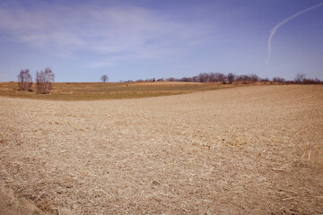 Pejzaż latem © Kamila