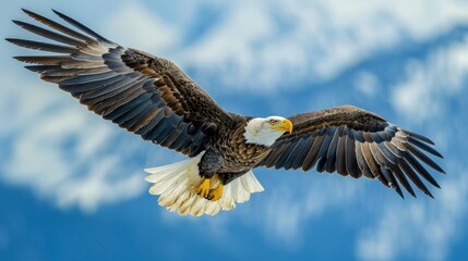 Sharp detail capture of an eagle soaring with vast skies behind.