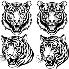 tiger-4-image 