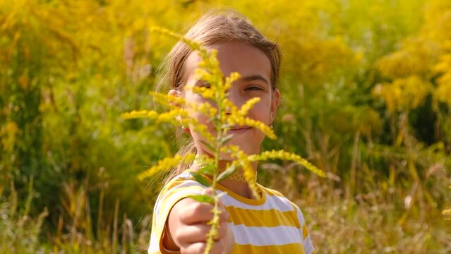 child in the ambrosia field. Selective focus.