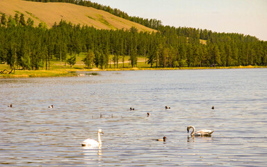beautiful view of Lake Kalkan in the mountains of the Southern Urals on a summer day