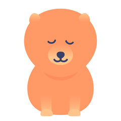 pomeranian puppy png