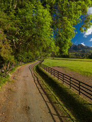 Obraz premium Thoroughbred racing horses ranch on sunny day, Chiriqui, Panama - stock photo