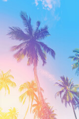Coconut palm trees an pristine bounty beach colored toned image. Travel, tourism, vacation concept tropical background