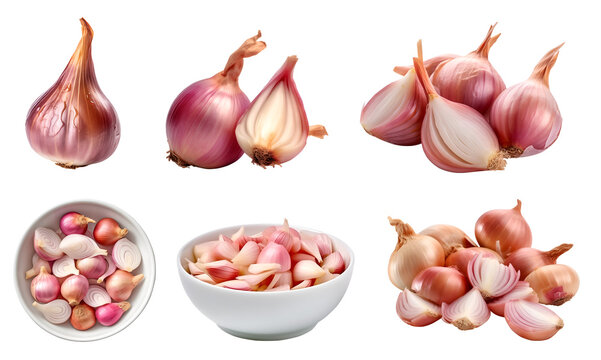 Shallot vegetable herb, many angles and view side top front cluster pile group isolated on transparent background cutout, PNG file. Mockup template for artwork graphic design