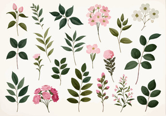 a bunch of different types of flowers on a white background