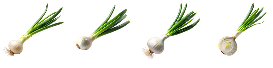 Green onion slice falling in the air on white on transparent background PNG file
