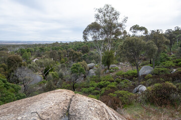 Scenery of Australian native forest over a large rock cliff in You Yangs Regional Park, VIC Australia.