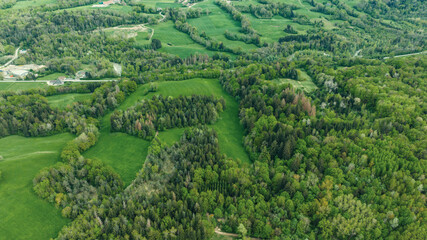 Obraz premium View of the green forest on mountains. The road between the forest massif