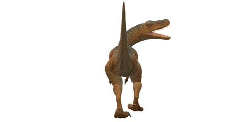 Velociraptor Dinosaur isolated on a Transparent Background