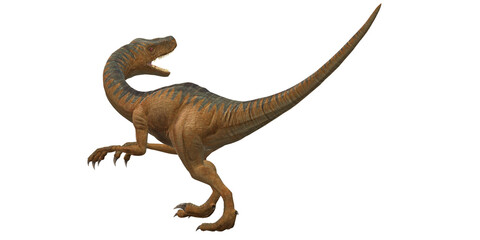 Velociraptor Dinosaur isolated on a Transparent Background