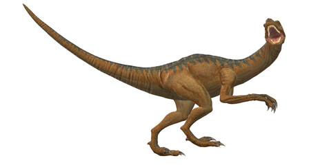 Velociraptor Dinosaur isolated on a Transparent Background