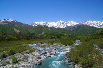 新緑の白馬大橋から眺めた風景