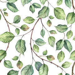 Square seamless pattern with ivy creeper plant. Watercolor hand painted green leaves background. Wallpapers and wrapping paper design