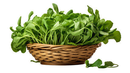 Naklejka premium A basket of arugula with a transparent background.