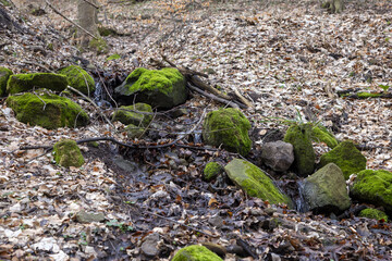 Bach im Wald im Herbst