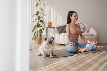 Peaceful indoor scene of a asian woman practicing meditation in lotus position beside her pug dog,...