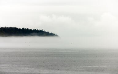 Foggy seascape with forested peninsula