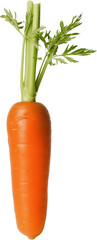 The image depicts a single carrot with green leafy tops. The carrot is bright orange and has a smooth texture. The leafy tops are green and appear fresh.