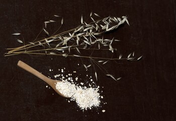 A branch of dried oatmeal next to a spoon with its seeds, seen from above, studio photo isolated on...