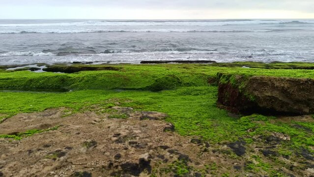 Landscape view of sea sand, moss and coral rocks on a cloudy summer day. Molang Beach, Tulungagung, Indonesia